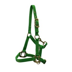 Mini Halters